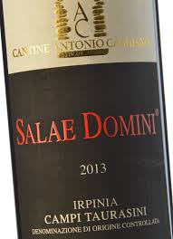 Caggiano Salae Domini 2014