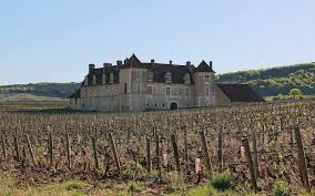Pleasures of Paradise: Waterford Wine Burgundy Festival